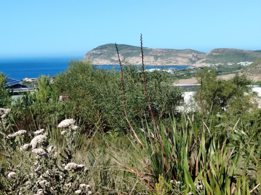 0 Bedroom Property for Sale in Robberg Ridge Western Cape